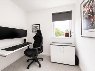 Picture 23